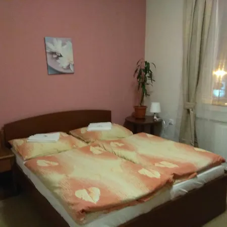 Lidovy Dum Hotel