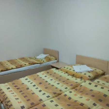 Hotel Lidovy Dum *